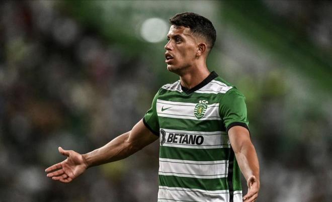 和不懈的体 和不懈的体