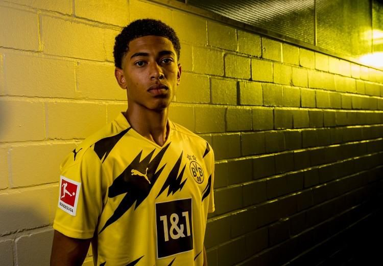 信息被迅速 信息被迅速